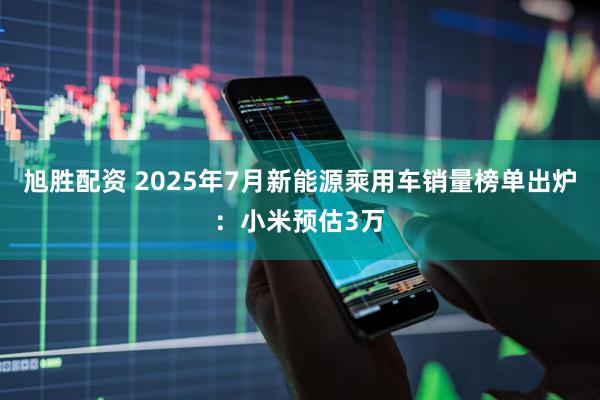 旭胜配资 2025年7月新能源乘用车销量榜单出炉：小米预估3万