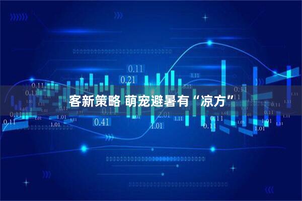 客新策略 萌宠避暑有“凉方”