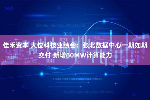 佳禾资本 大位科技业绩会：张北数据中心一期如期交付 新增60MW计算能力