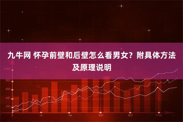 九牛网 怀孕前壁和后壁怎么看男女？附具体方法及原理说明